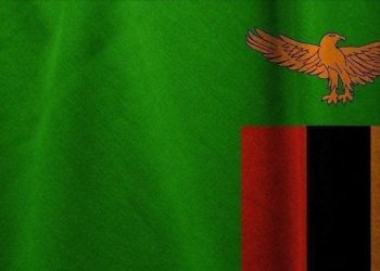 Zambia to scrap fuel, electricity subsidies as part of IMF program