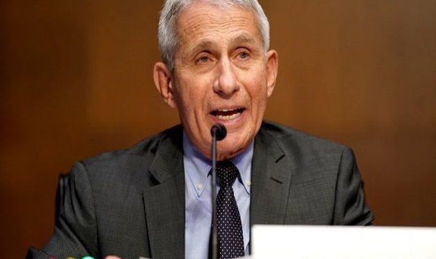 US Presidential medical adviser Fauci says Omicron cases likely to peak by end of January