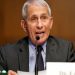 US Presidential medical adviser Fauci says Omicron cases likely to peak by end of January