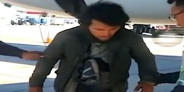 Stowaway survives in landing gear on Guatemala flight to Miami