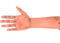 Dentist in Italy faces charges after using fake arm for Covid jab