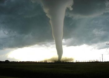 Babies placed in bath tub survive as tornado hurls them from house
