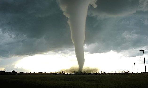Babies placed in bath tub survive as tornado hurls them from house