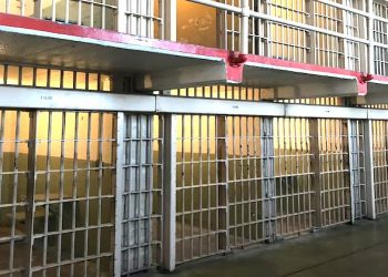 Two men receive long prison terms for 10m pound Covid assistance fraud
