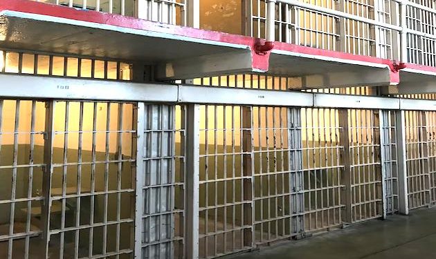 Two men receive long prison terms for 10m pound Covid assistance fraud