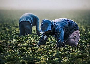 Bill prohibits import of Chinese products made by forced labor