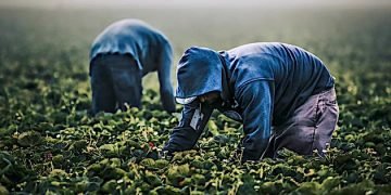 Bill prohibits import of Chinese products made by forced labor