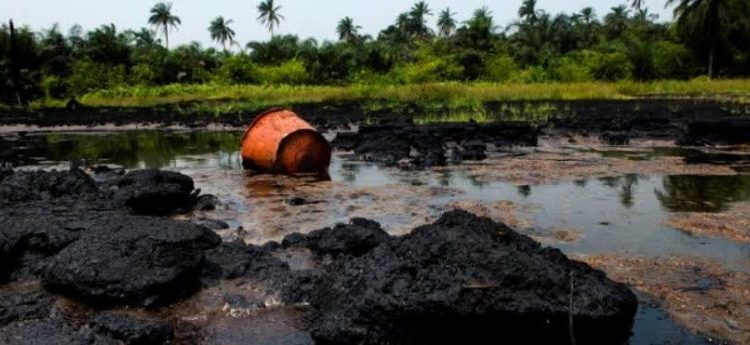 Ogoniland begs Buhari regime for potable water