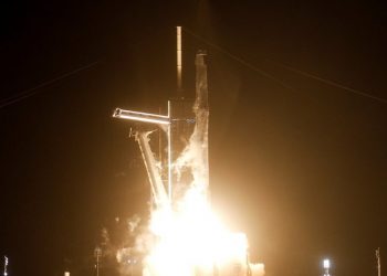 UK sending human cells into space to discover secrets of aging