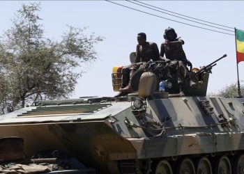 Past tensions tied to current conflict in Ethiopia: Scholar