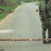 DRC, Uganda move to block rebels from regrouping