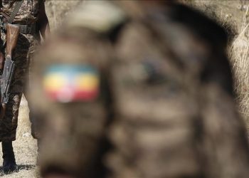 US envoy for Africa to visit UAE, Turkey, Egypt to discuss Ethiopia conflict