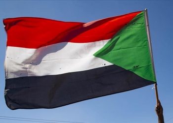 Sudan releases former industry minister