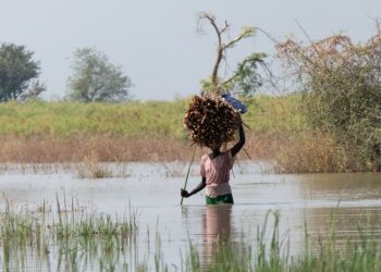 Floods Cut Off Communities in South Sudan’s Unity State
