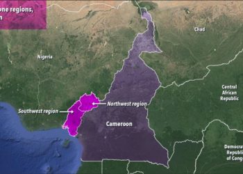 Cameroon Military Denies Torching Houses, Killing Civilians