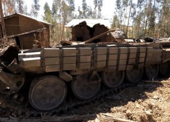 Analysts: Ethiopian Forces’ Halt at Tigray Opens Window for Ceasefire