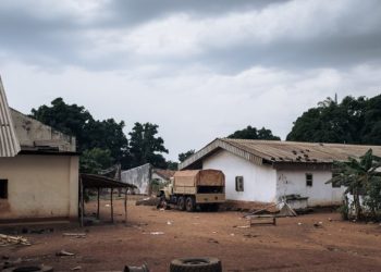 Mali’s Military Government: Russia Sends Trainers, Not Mercenaries