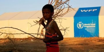 Sudan Gunmen Loot UN Food Aid Warehouse in Darfur