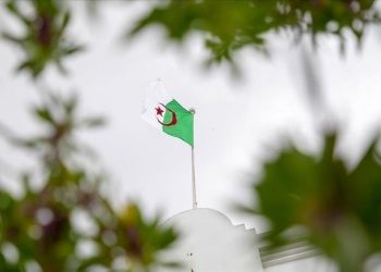 7 militants killed in eastern Algeria
