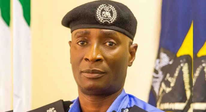 Adamawa police arrest 87 kidnap suspects, rescue 20 victims