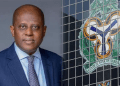 I didn’t cause Nigeria’s economic problems, says CBN governor Cardoso