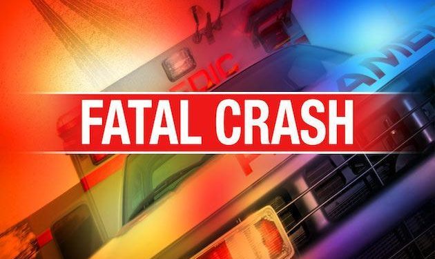 7 foreign volunteer teachers among 25 killed in Tanzania road accident