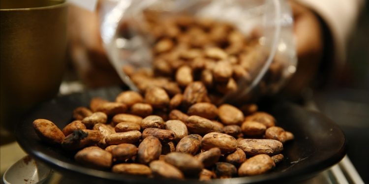 Skyrocketing cocoa prices feared to trigger chocolate shortages worldwide