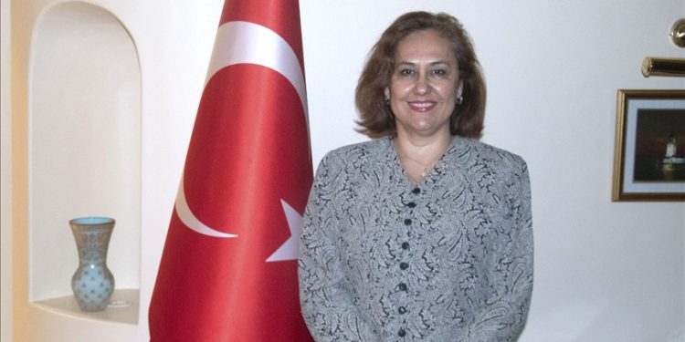 Trade between Türkiye, South Africa booming: Envoy