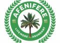 Restructuring: Afenifere faction proposes parliamentary system of government