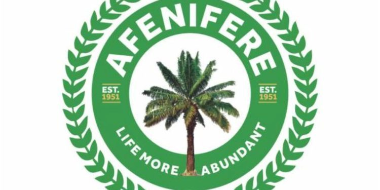 Restructuring: Afenifere faction proposes parliamentary system of government