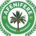 Restructuring: Afenifere faction proposes parliamentary system of government