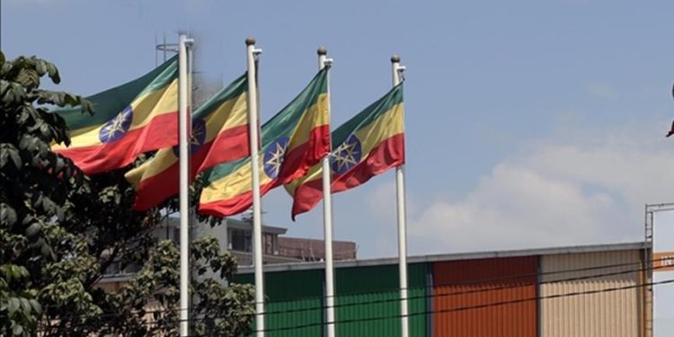 Ethiopia, Canada advance trade ties in high-level talks