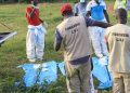 Kenya doomsday cult victims released to families after grueling identification process