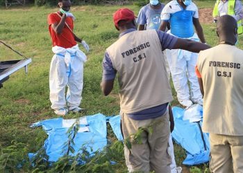 Kenya doomsday cult victims released to families after grueling identification process