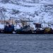 Putin signs law renouncing fisheries agreement with UK