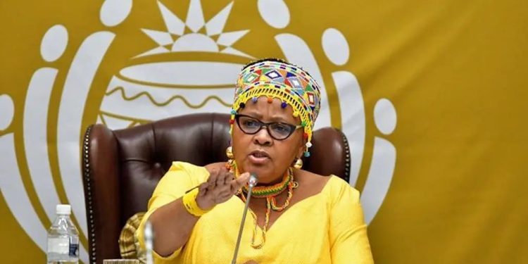 South Africa’s parliament speaker launches court application to interdict her arrest