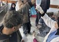 South Africa condemns Israel’s attack on Palestinian civilians awaiting aid in Gaza