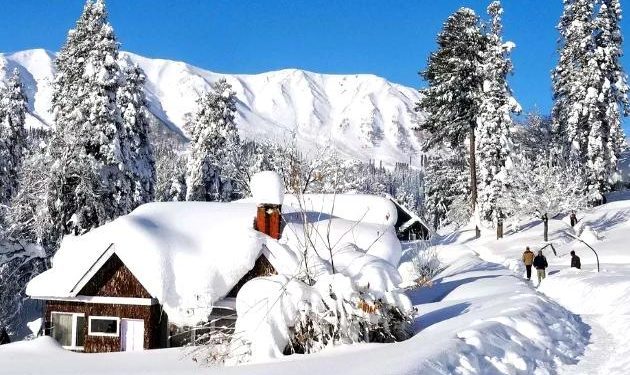 2 Senegalese men found dead in woods near Canadian border