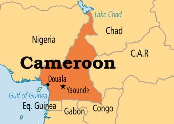 Cameroon and Chad government troops free scores of hostages
