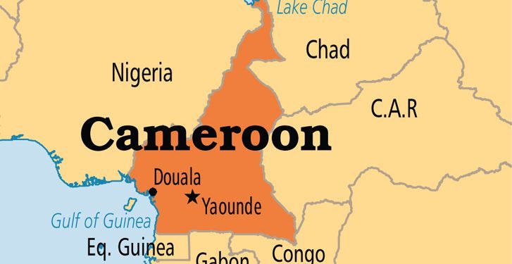 Cameroon and Chad government troops free scores of hostages