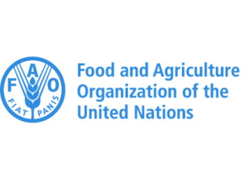 Global food prices up after 7-month downward trend