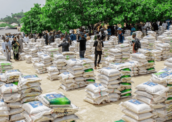 Nationwide Hunger: Nigerians decry government corruption, want decentralised food distribution to avoid stampede