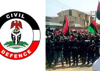 NSCDC commandant says anti-sit-at-home operation effective