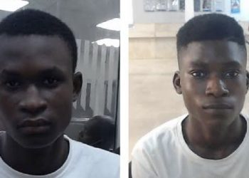 Ogoshi brothers guilty of sextortion leading to suicide of American boy, face 30 years in U.S. jail