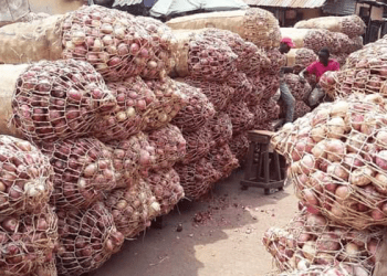 India eases exports of onions to Sri Lanka, UAE