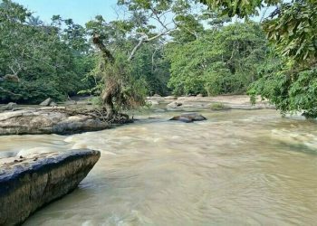 Microplastics in Nigeria’s Osun River: new study flags alarmingly high levels