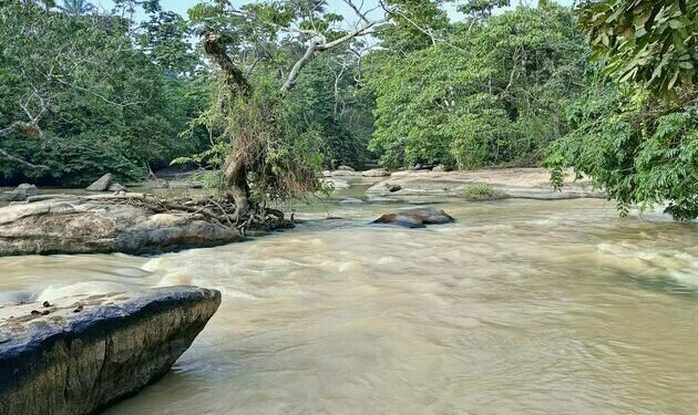 Microplastics in Nigeria’s Osun River: new study flags alarmingly high levels