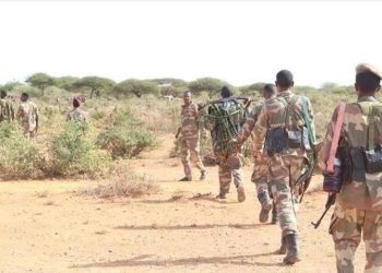 9 al-Shabaab terrorists killed in Somali military operation: Defense Ministry