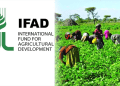 IFAD emphasises importance of post-harvest solutions for poverty reduction