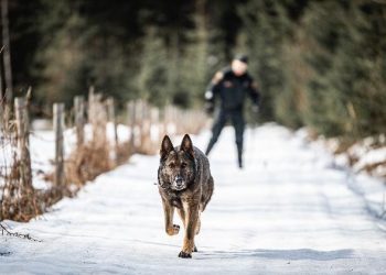 Migration forces Finland to keep Russian border closed